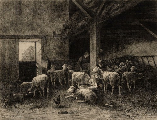Jules bahieu bergerie moutons - bergerie,
