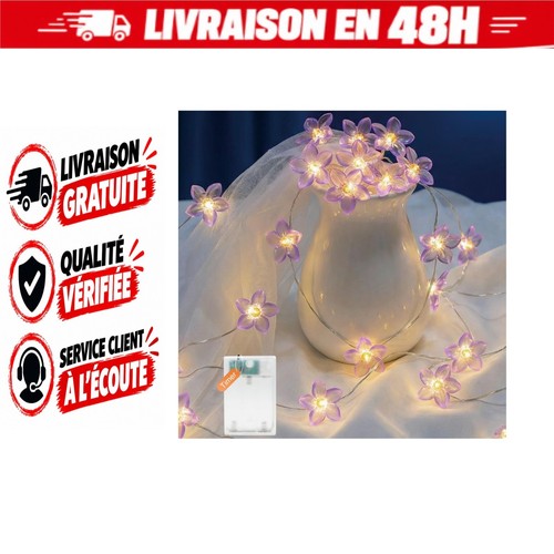 Guirlande lumineuse led - lumineuse, fleurs