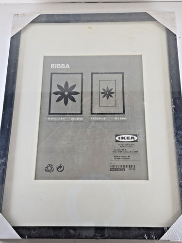 Ikea ribba black picture frame - black,