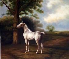 animal horse original painting oil on canvas signed / animal horse o