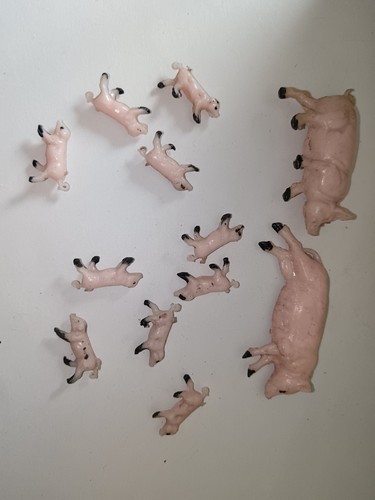 Acedo ferme lot - acedo, cochon