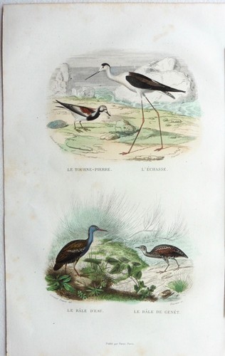 Edouard travies gravure - travies,