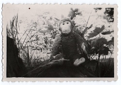Anonymous photo plush monkey - plush,