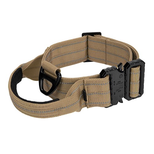 Collier tactique pour chien