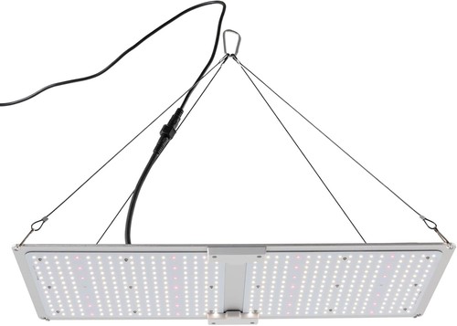 Lampe croissance led pour - lampe, de