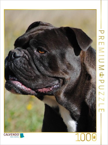 Calvendo puzzle black magic - puzzle,