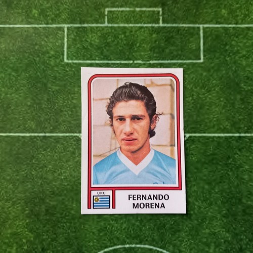 Panini argentina fernando - 78.,