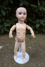 Poupée SFBJ moule 230 taille