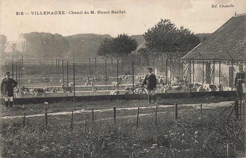 Villenauxe chenil m - 10,