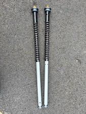 Andreani Misano Fork Cartridges Adjustable Race for MV Agusta F3 675 800 Upgrad