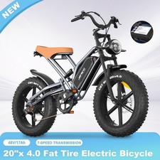 Vélo Électrique 750w 48v