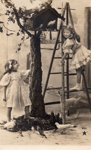 Bj396 carte photo vintage - carte,