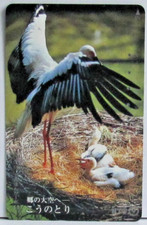 34 - CARTE TELEPHONIQUE