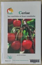 LICHOU - LE CERISIER - CTIFL