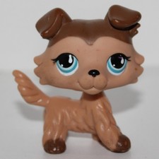 Petshop Chien Colley # 893 -