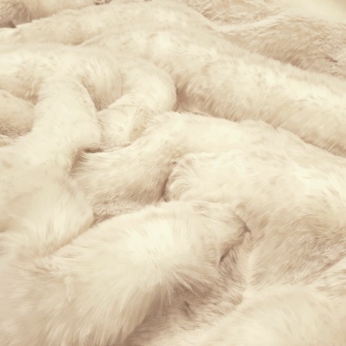 Renard arctique fourrure - renard,