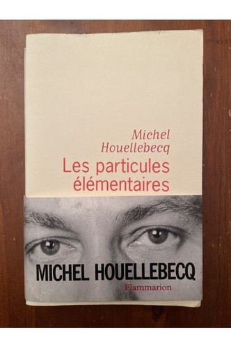 Les particules élémentaires