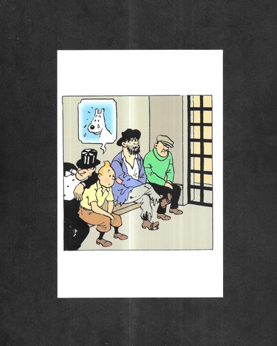 Rare carte postale - /, tintin