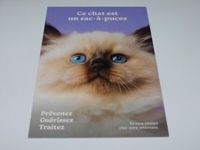 CARTE POSTALE - CHAT - SACRE DE BIRMANIE - ANIMAUX