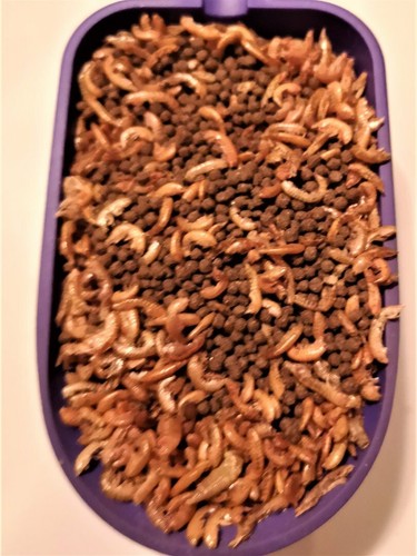 Nourriture speciale tortues - speciale,