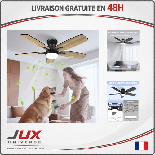 Ventilateur plafond 106 - plafond,