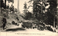 CORSE CORSICA - Régal de