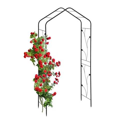 Arche rosier pergola - rosier,