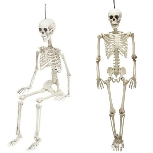 Squelette articulé 90cm - squelette,