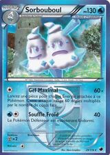 Sorbouboul -N&B:Glaciation