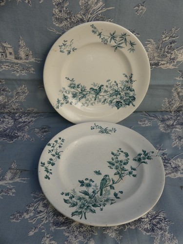 Assiettes longwy mignon 5 - mignon, 23,5