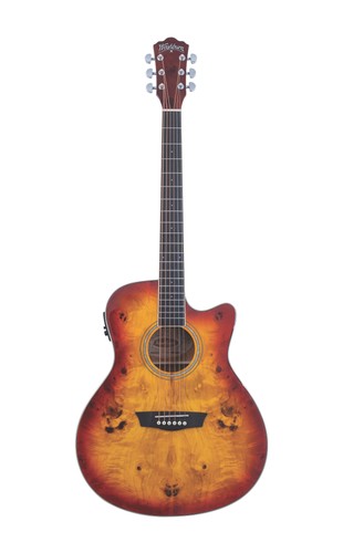 Washburn dfbacea deep forest - washburn,