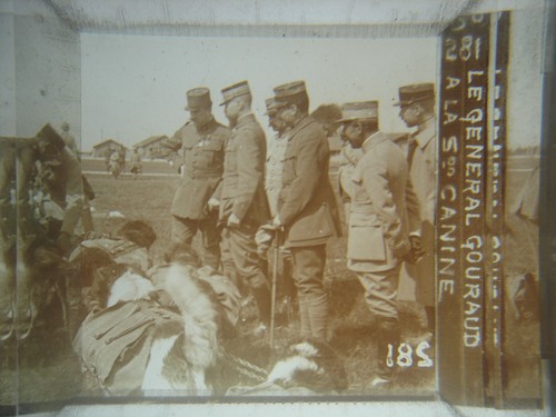 Guerre wwi ww1 photo - guerre,