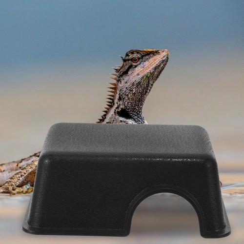 Abri pour reptiles accessoire - abri,