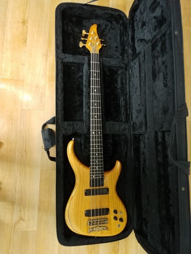Bass alembic 5string - bass,