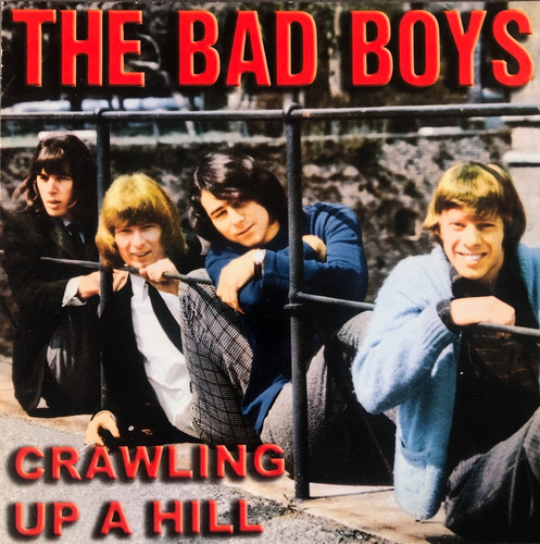 Bad boys crawling hill - bad, lp