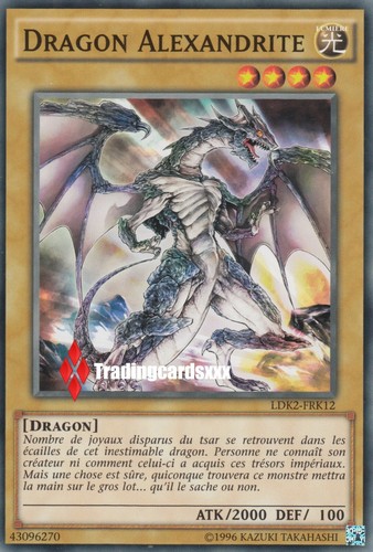 Dragon - ♦yu-gi-oh!♦,