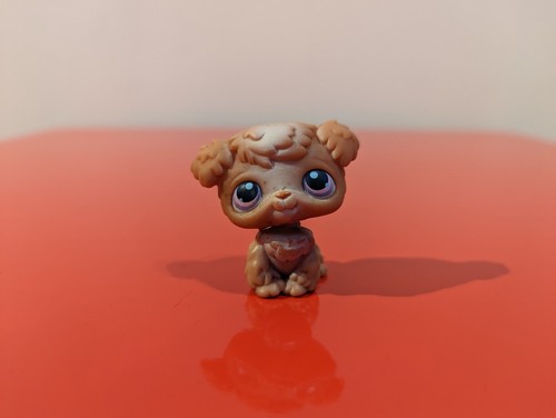 Littlest petshop chien bichon - littlest,