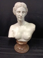 Grand Buste De La Vénus De