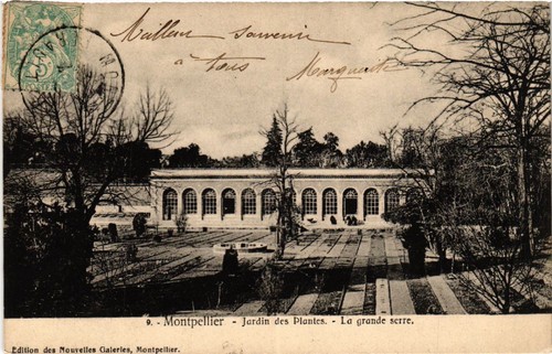 Old postcard montpellier - old,