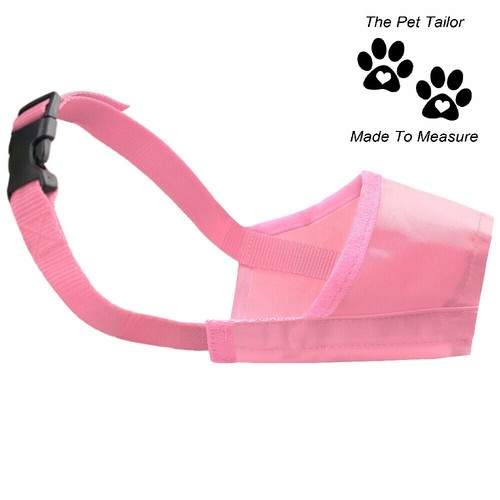 Lhassa apso chien museau rose - apso,