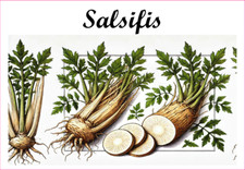 Salsifis 12 sticker vinyl conserve fruit légume confiture fait maison