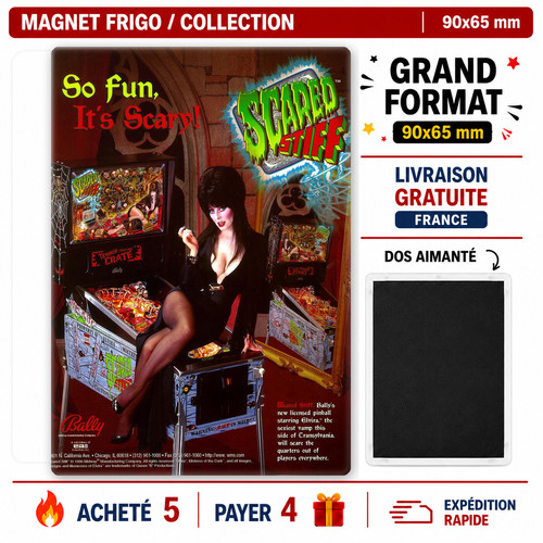 Magnet frigo flipper - magnet,
