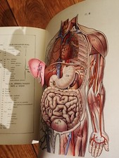 1924 Médical Larousse