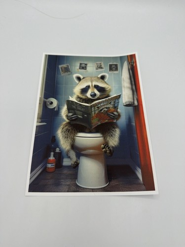 Poster raccoon toilet funny - , a5