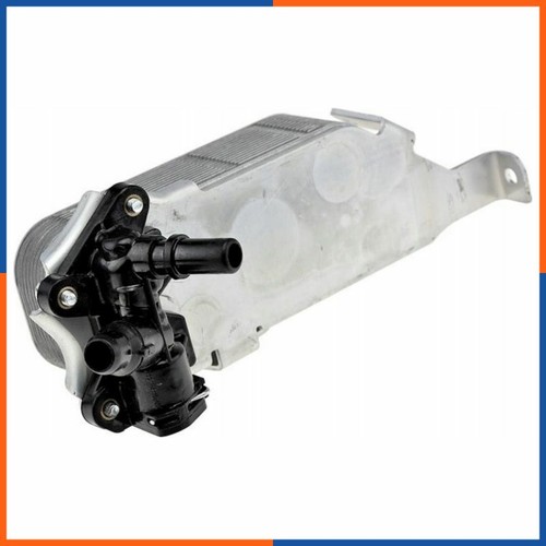 Radiateur huile moteur - radiateur, pour