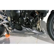 Sabot moteur ERMAX TRIUMPH 675