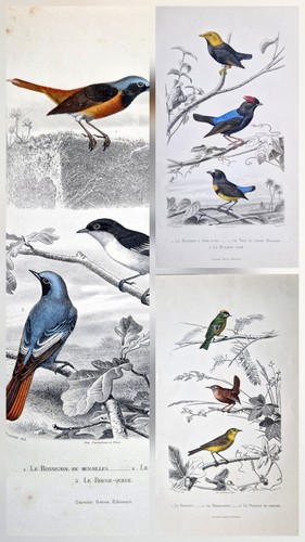 Gravures anciennes - , 3