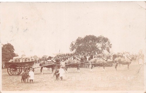Carte postale suffolk sudborne - suffolk,