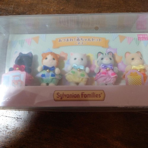 Ensemble famille bébé chat