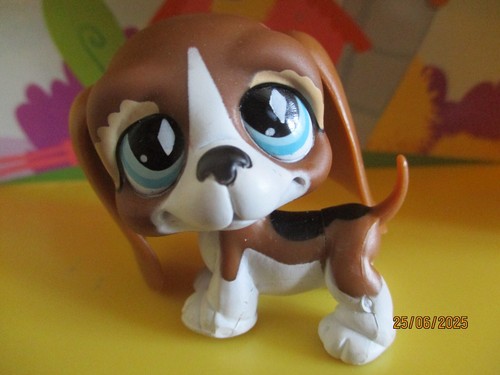 Petshop chien basset - chien, hound